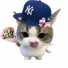 Avatar k0t1k_na_samike